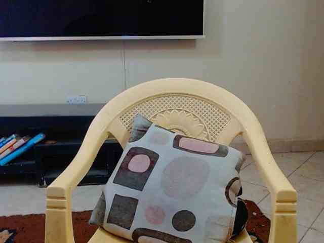 Dalia70 webcam