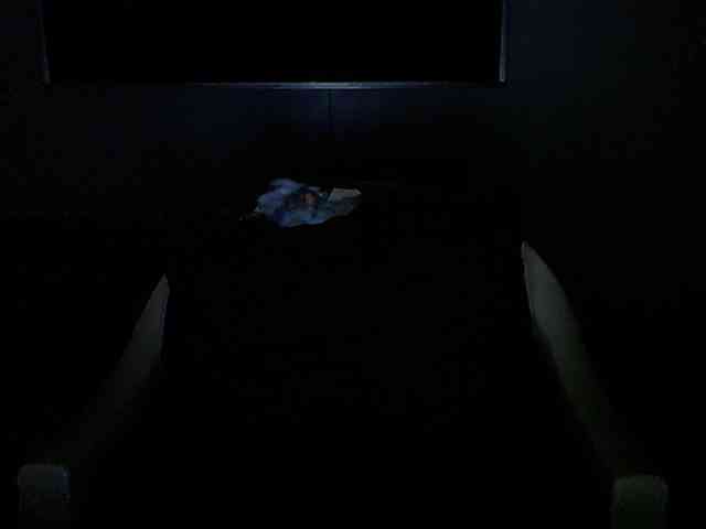 Dalia70 webcam
