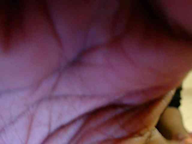 Dalia70 webcam