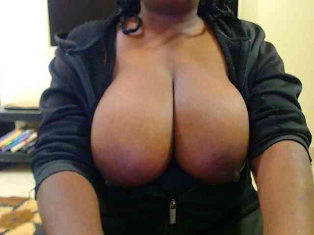Dalia70 webcam