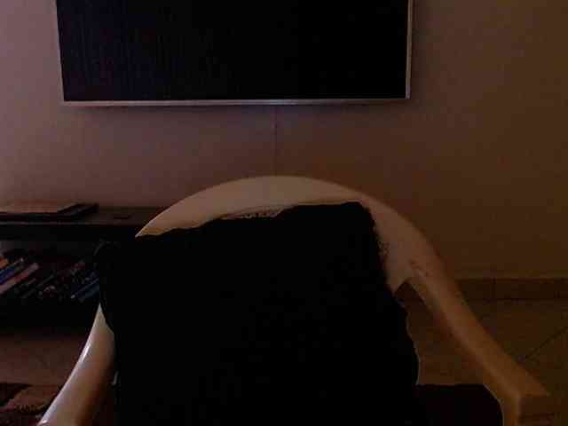 Dalia70 webcam