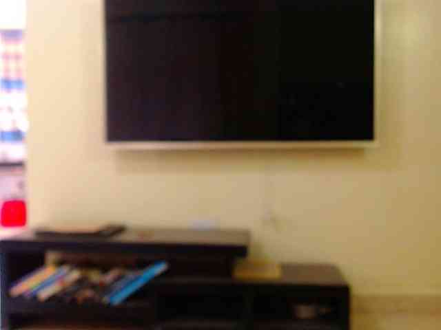 Dalia70 webcam