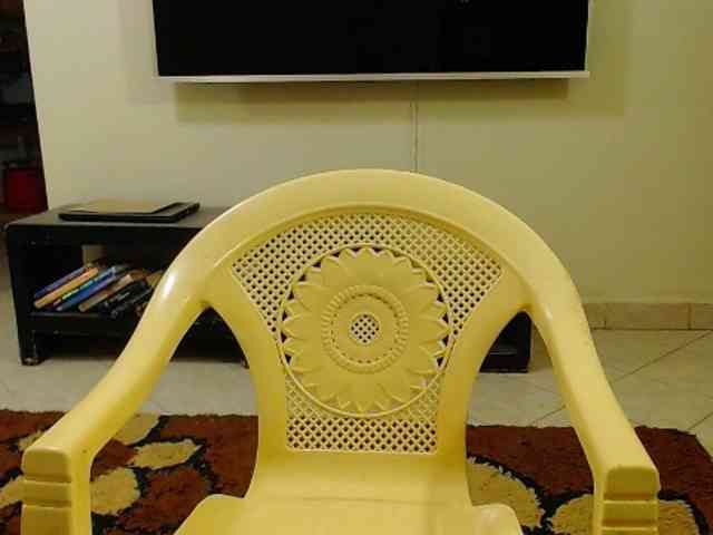 Dalia70 webcam