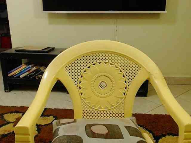 Dalia70 webcam