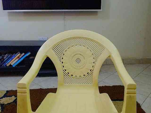 Dalia70 webcam