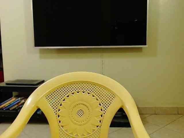 Dalia70 webcam