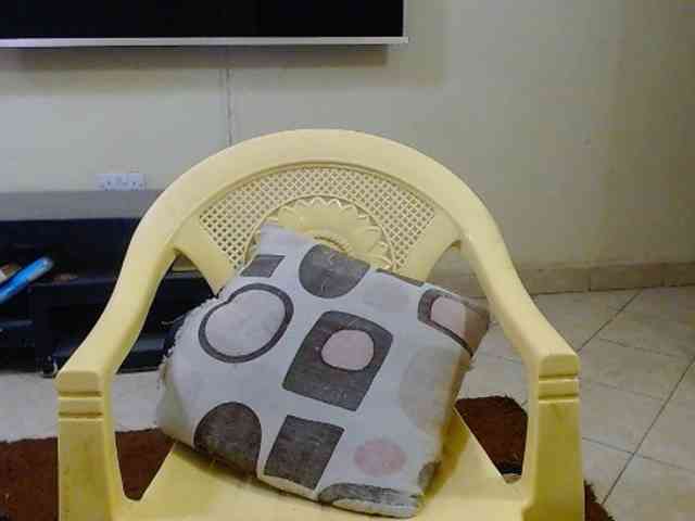 Dalia70 webcam