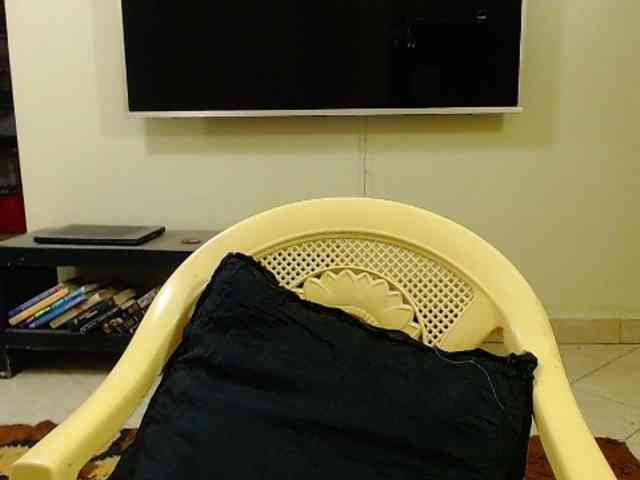 Dalia70 webcam