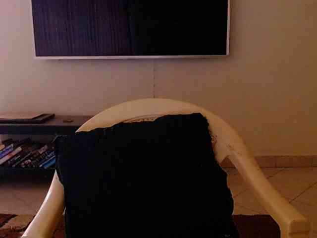 Dalia70 webcam
