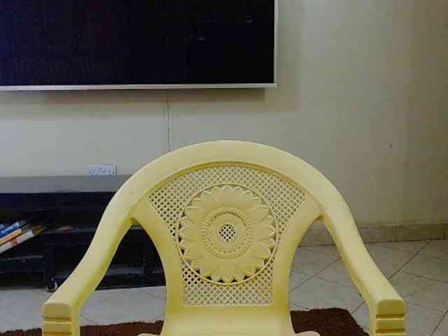 Dalia70 webcam