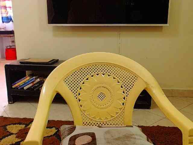 Dalia70 webcam
