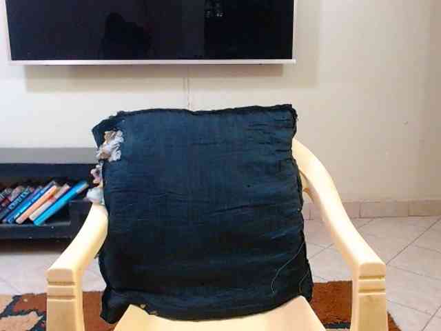 Dalia70 webcam