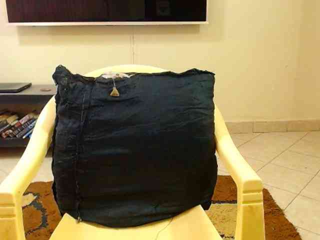 Dalia70 webcam