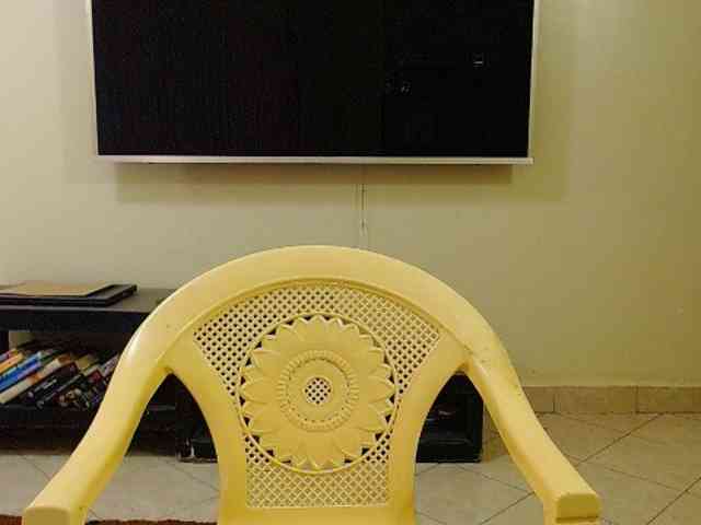 Dalia70 webcam