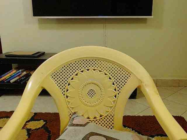 Dalia70 webcam