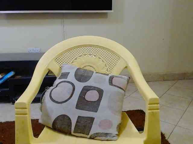 Dalia70 webcam