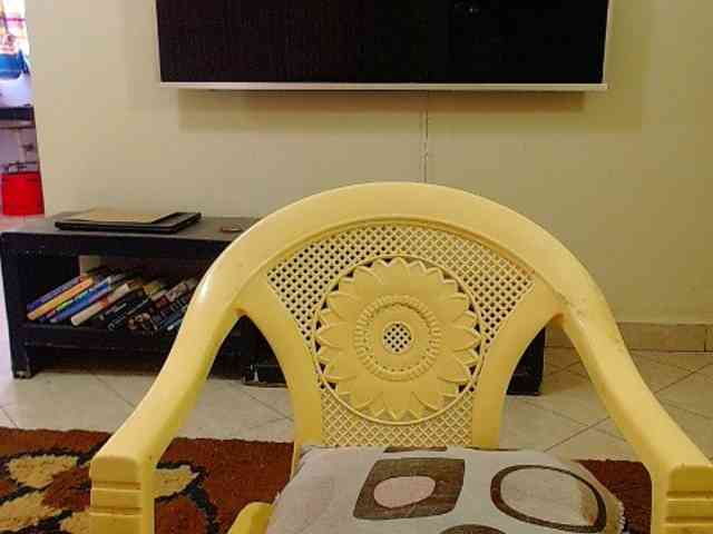 Dalia70 webcam
