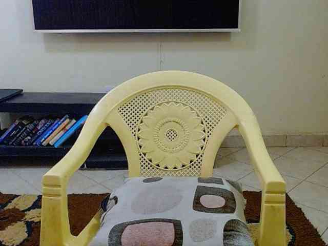 Dalia70 webcam