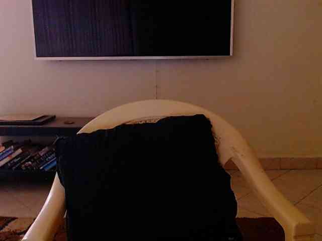 Dalia70 webcam