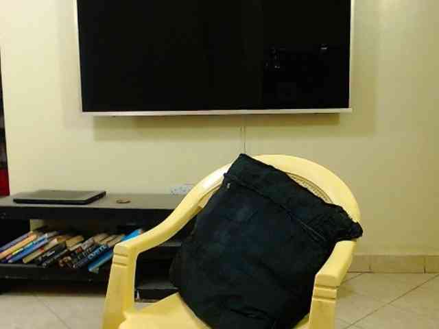 Dalia70 webcam