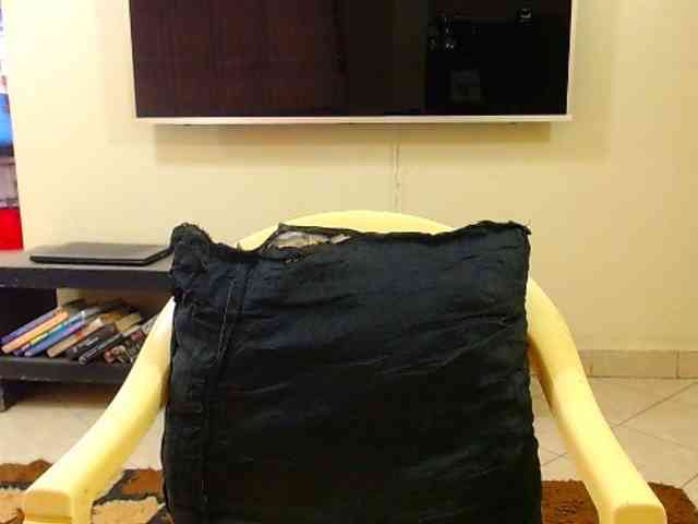 Dalia70 webcam