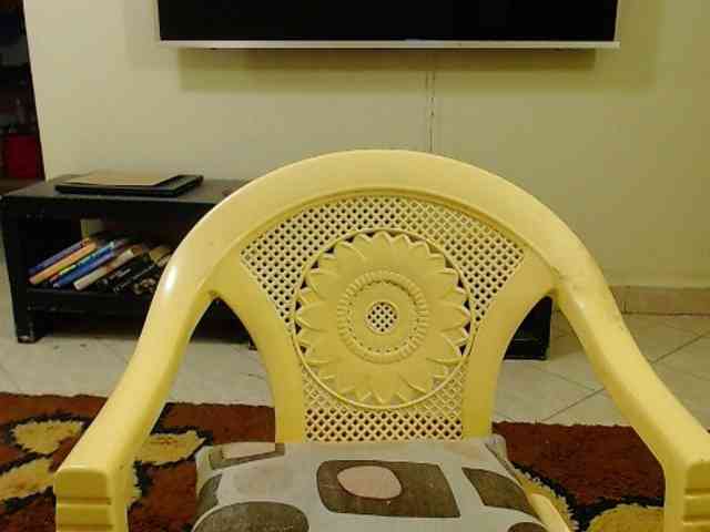 Dalia70 webcam