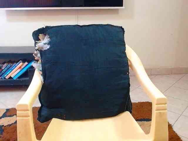 Dalia70 webcam