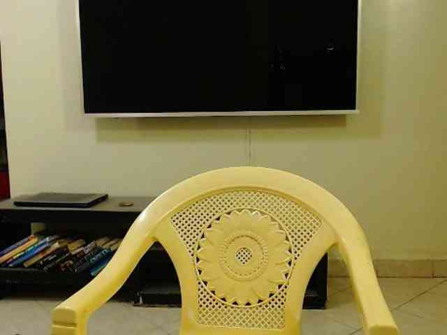Dalia70 webcam
