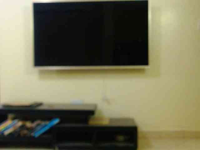 Dalia70 webcam