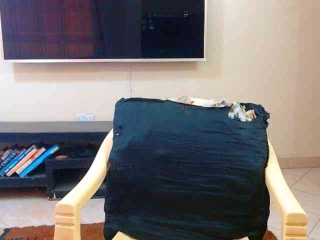 Dalia70 webcam