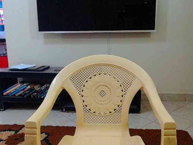 Dalia70 webcam