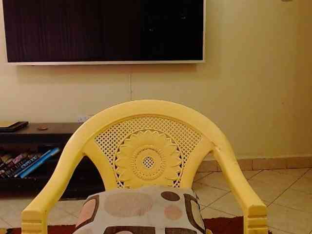 Dalia70 webcam
