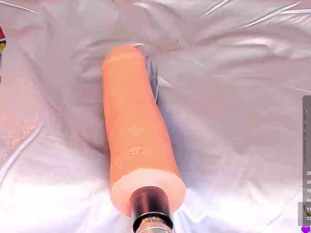 shaynamanson webcam