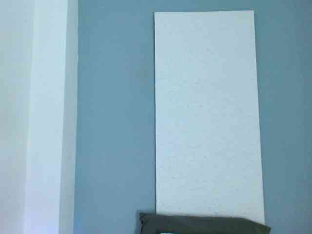 carlabeer webcam