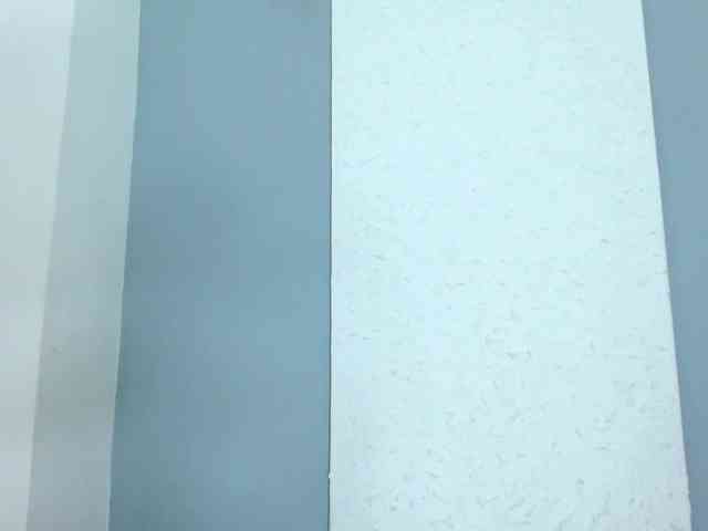 carlabeer webcam