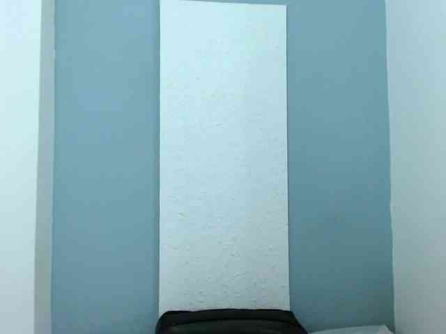 carlabeer webcam