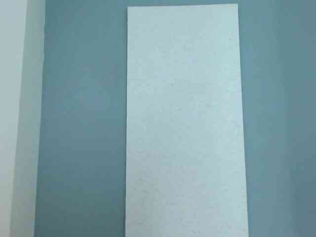 carlabeer webcam