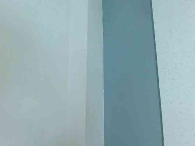 carlabeer webcam