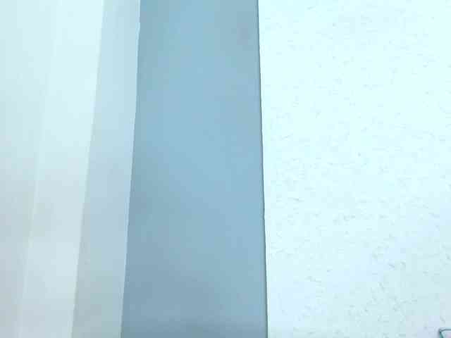 carlabeer webcam