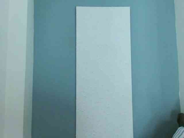 carlabeer webcam