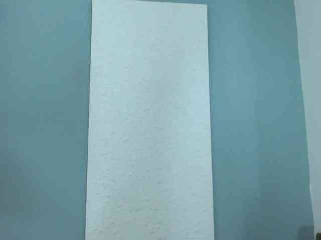 carlabeer webcam