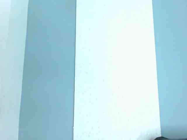carlabeer webcam
