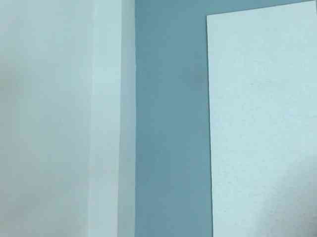 carlabeer webcam