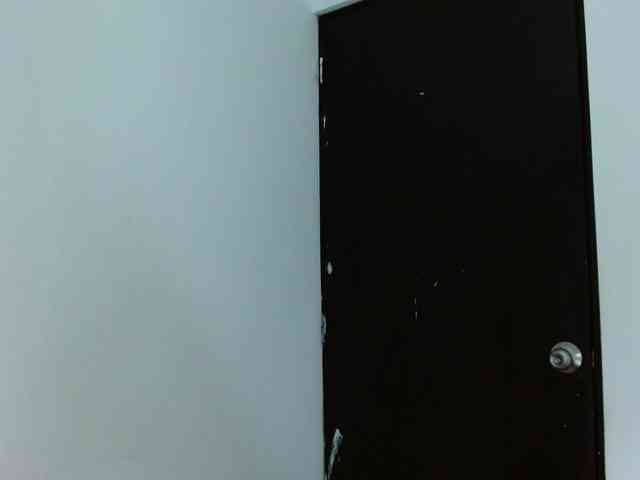 carlabeer webcam