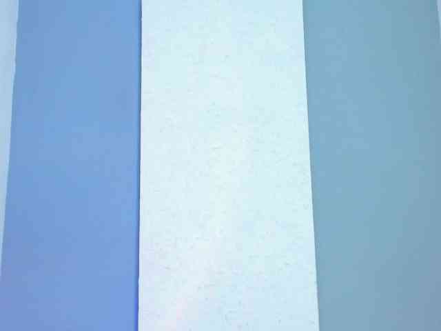 carlabeer webcam