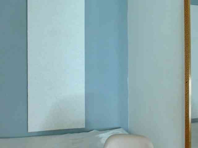 carlabeer webcam