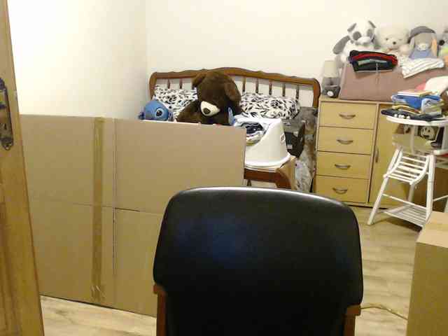 steph16311 Live Webcam on BongaCams