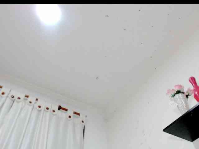 Totalslave webcam