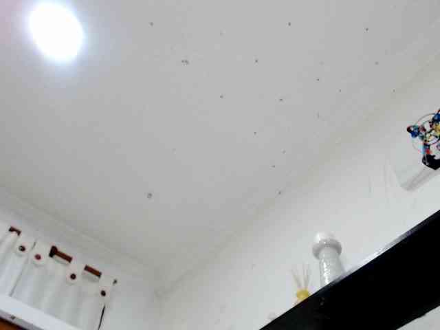 Totalslave webcam