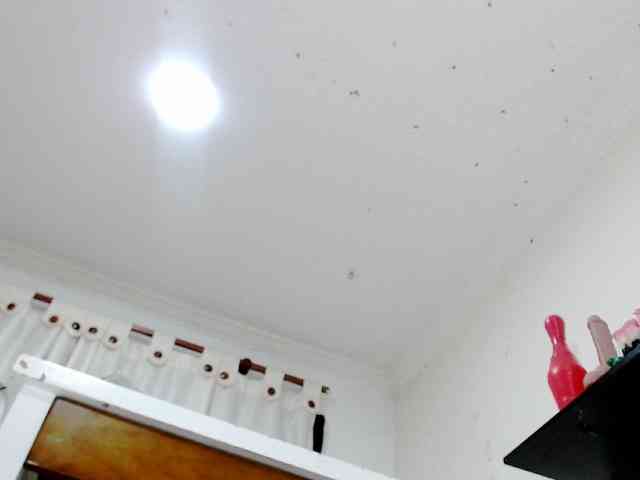 Totalslave webcam